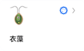 `图片${index}`