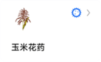 `图片${index}`