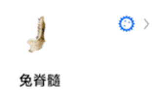 `图片${index}`
