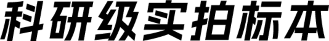 科研级实拍标本