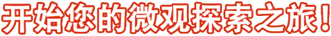 开始您的微观探索之旅